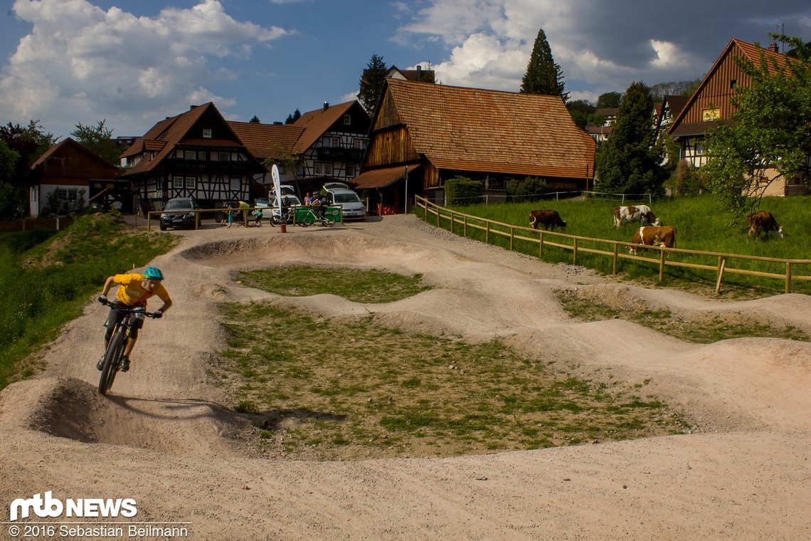 Mit gelockten Federelementen geht es sogar auf dem Pumptrack vorwärts