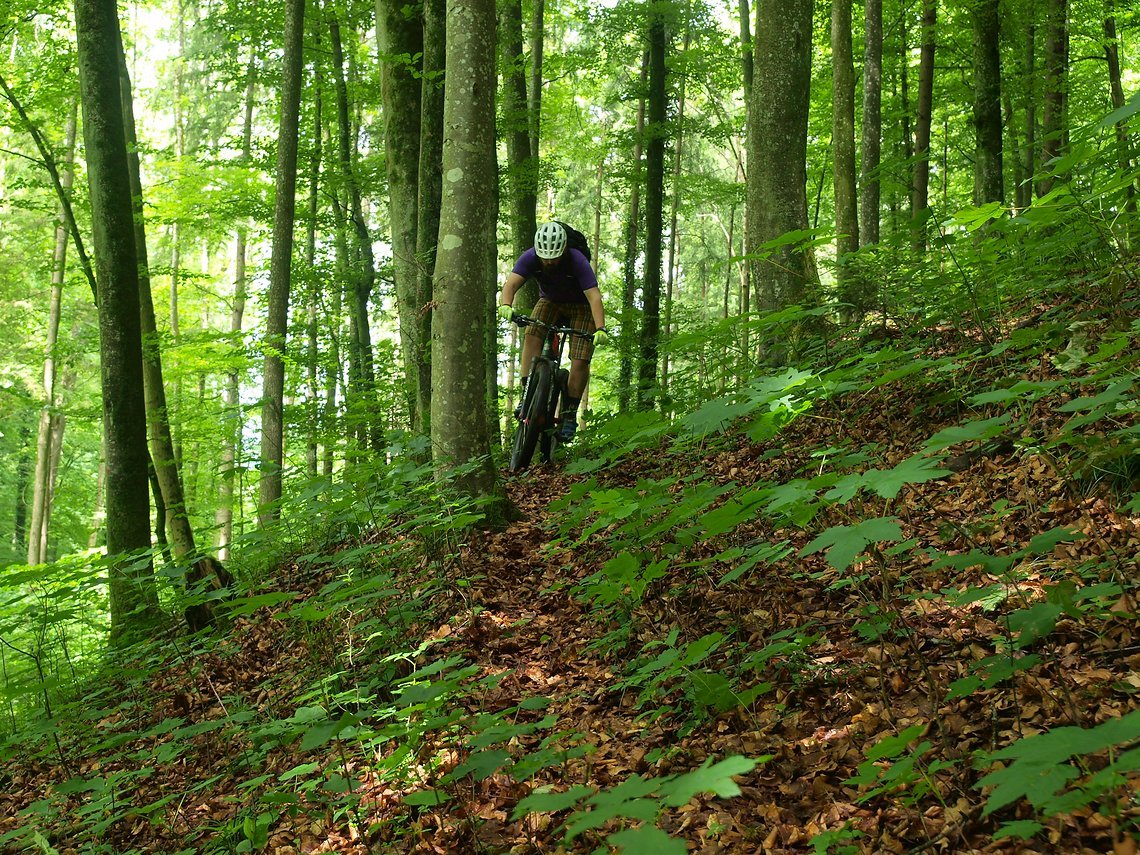 Der Lenker verfügt über sehr gute Dämpfungseigenschaften und macht im Downhill eine gute Figur.