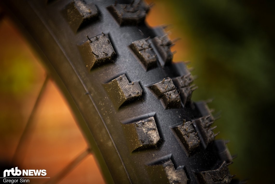 Specialized-Cannibal-Produkt-0182