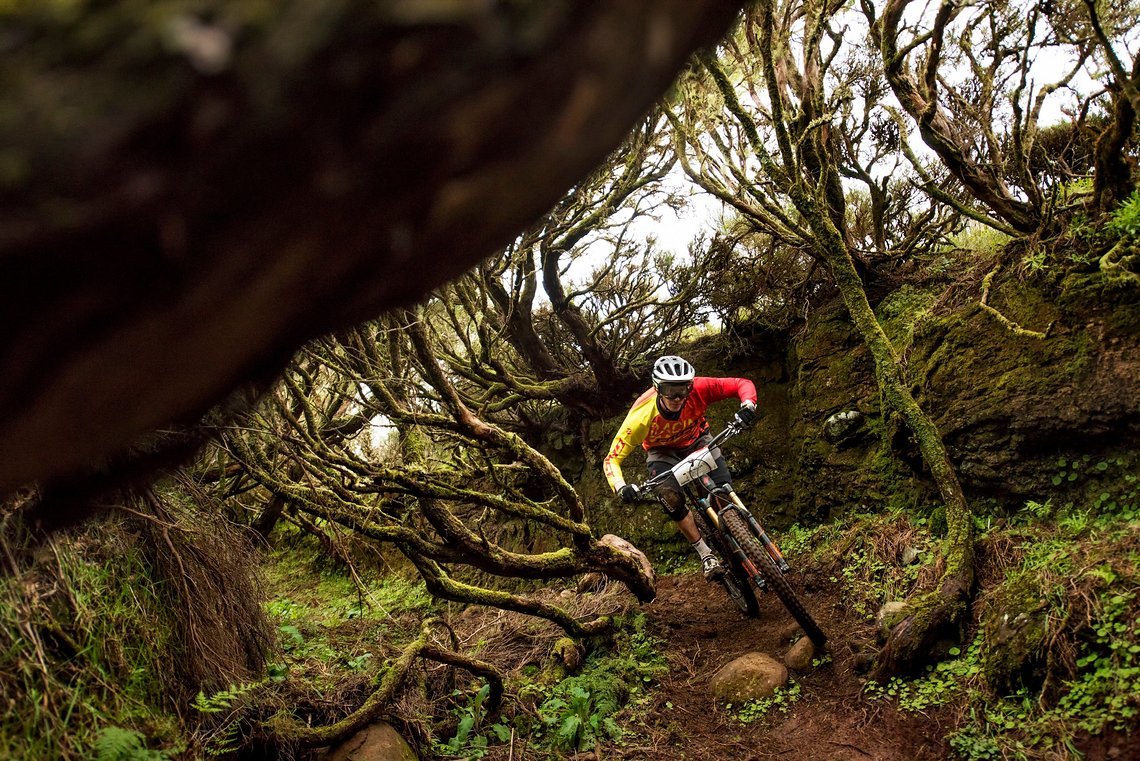 Tobi Müller on Madeira Island nr3 by Kasl