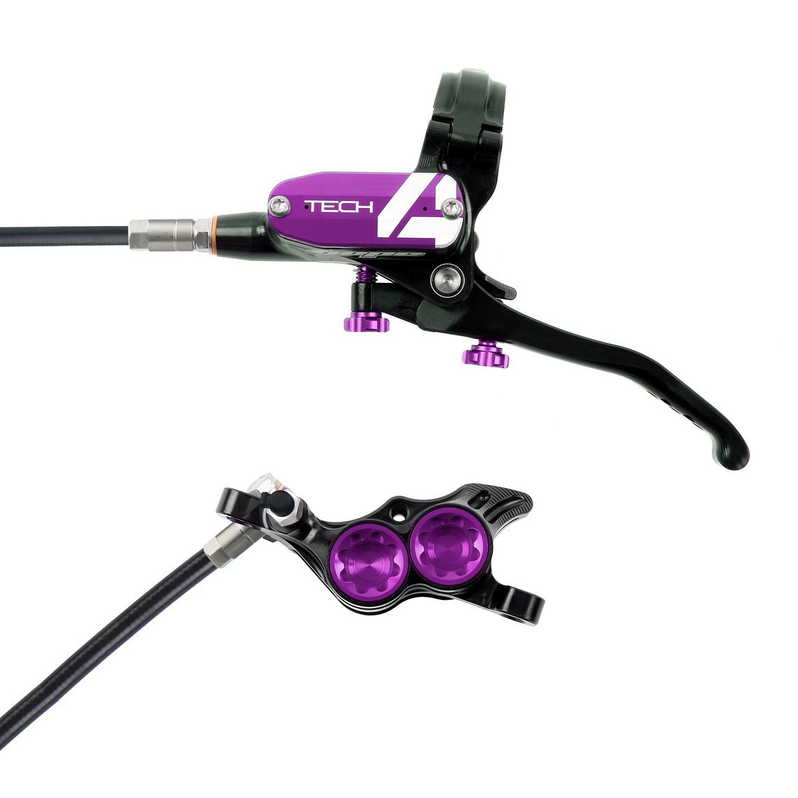 WEB BLACK PURPLE T4 E4
