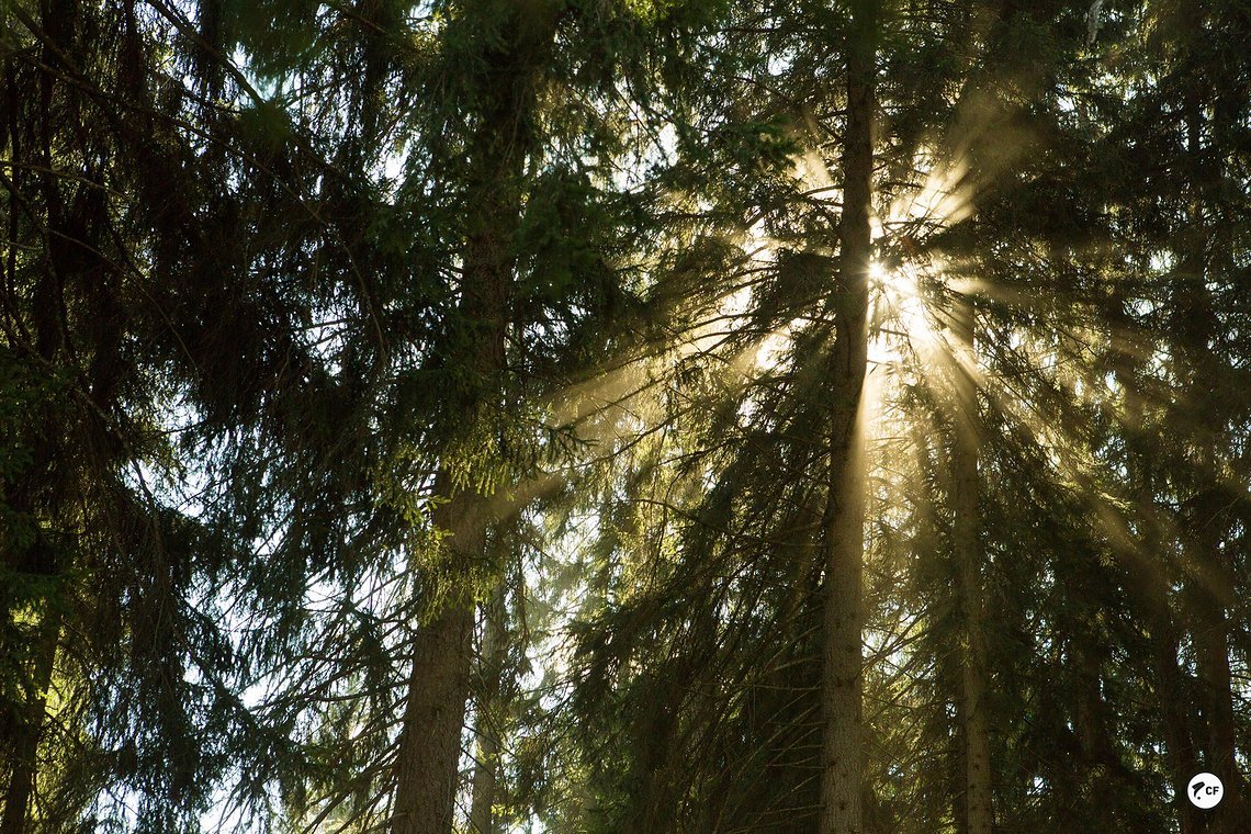 Der zweite Trainingstag bricht an und die Sonne gibt sich wieder einmal alle Mühe.