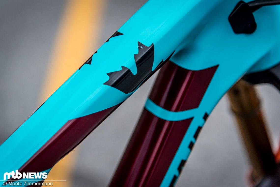 bike-check-jesse-melamed-7930