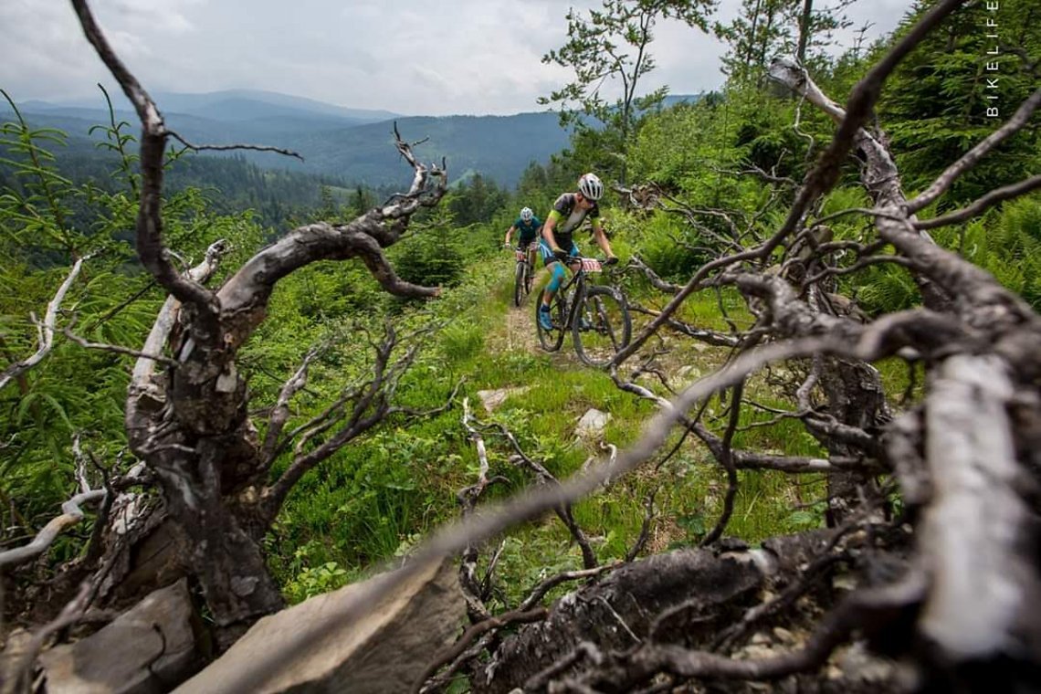 Jeder Trail ein Träumchen.