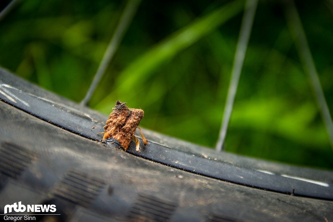 Die häufigste Form des Plattens in unserem Test waren Snakebites, mit je zwei Löchern an der Reifenflanke