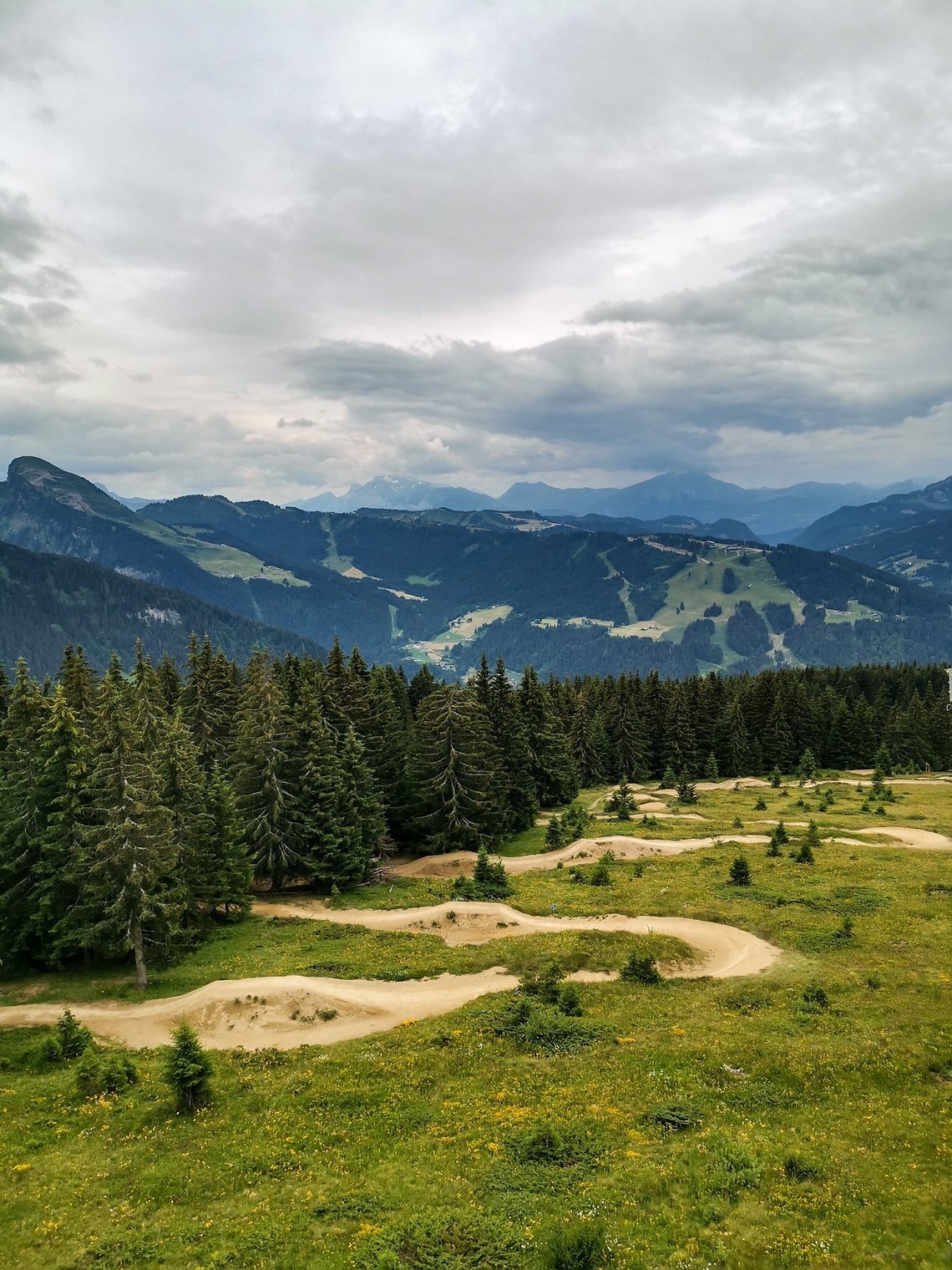 Kurvig mit Richtungswechseln und Überraschungen – so gestaltete sich 2020 für uns
