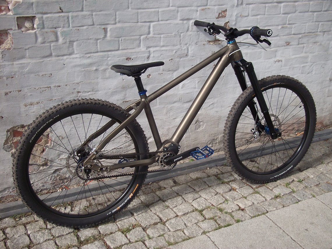 Das starre Heck ermöglicht die Verwendung eines Pinion C1.12 Getriebes in Kombination mit Gates Carbon Drive Riemen