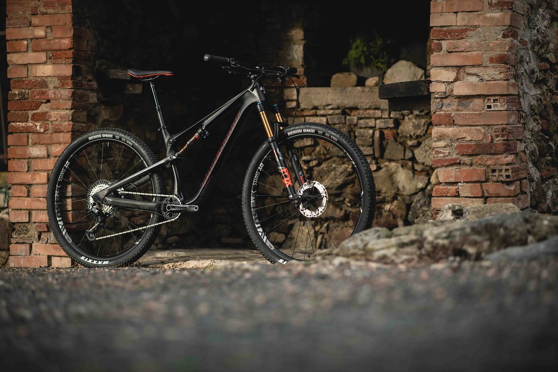Die Geometrie des Sondermodells verändert sich durch den geringeren Federweg im Vergleich zu den bestehenden Reactor-Bikes