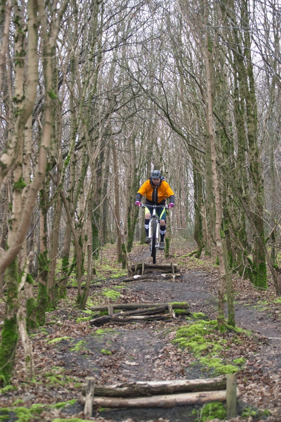 Das Trail-Hardtail ...