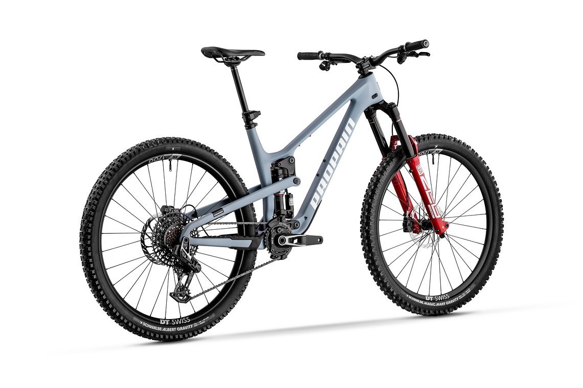 Tyee-CF-pigeon-blue-ultimate-003-Falch-Photography