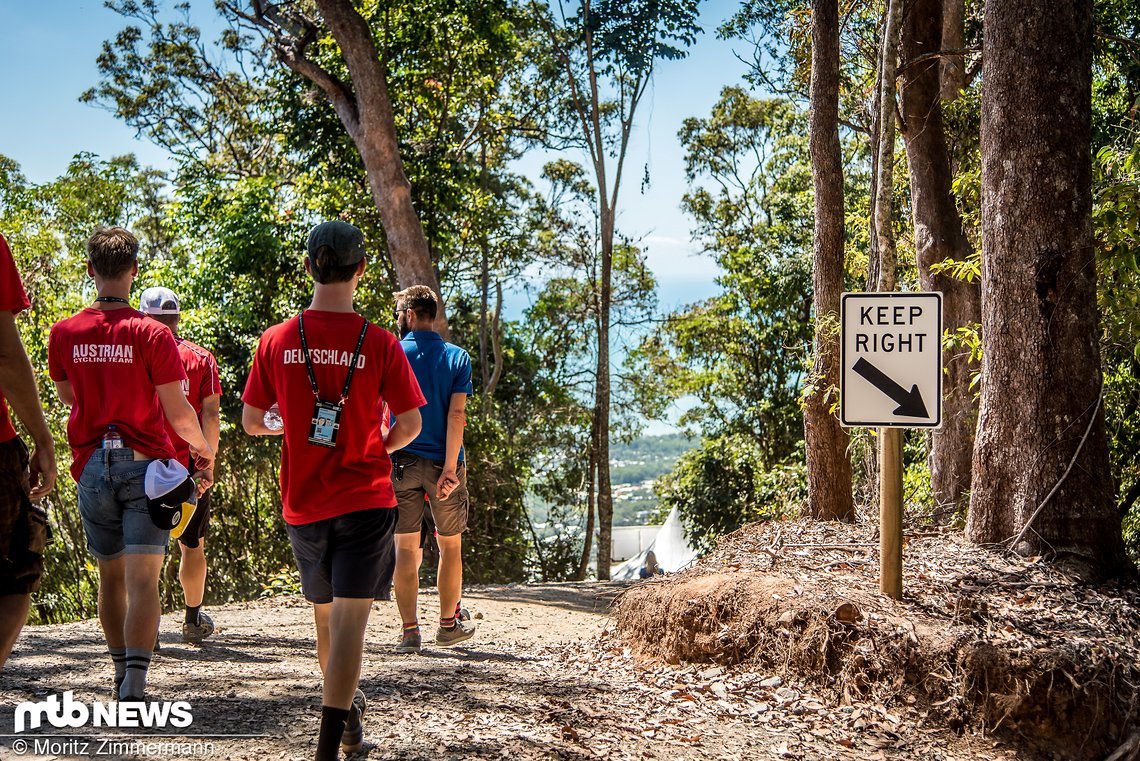 wm-cairns-track-walk-7929