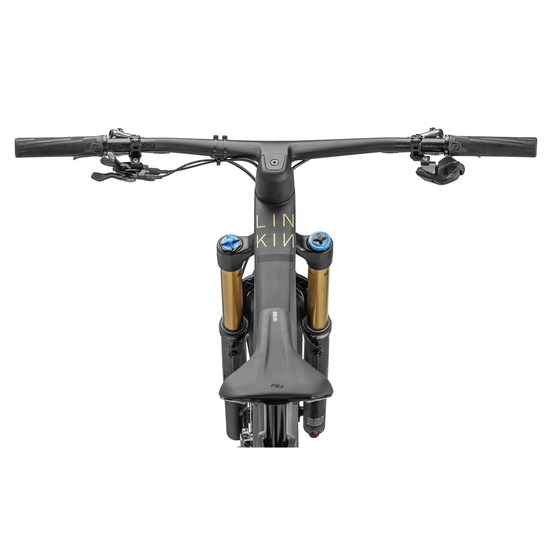 BOLD LINKIN 150 ULTIMATE 2022 STUDIO LEISER 006