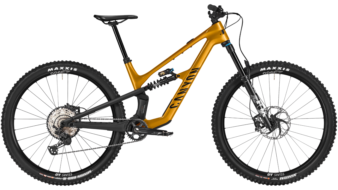 Canyon Spectral CF 8 CLLCTV – Stadtwald Sunset