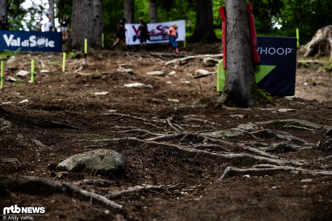 MTBNews