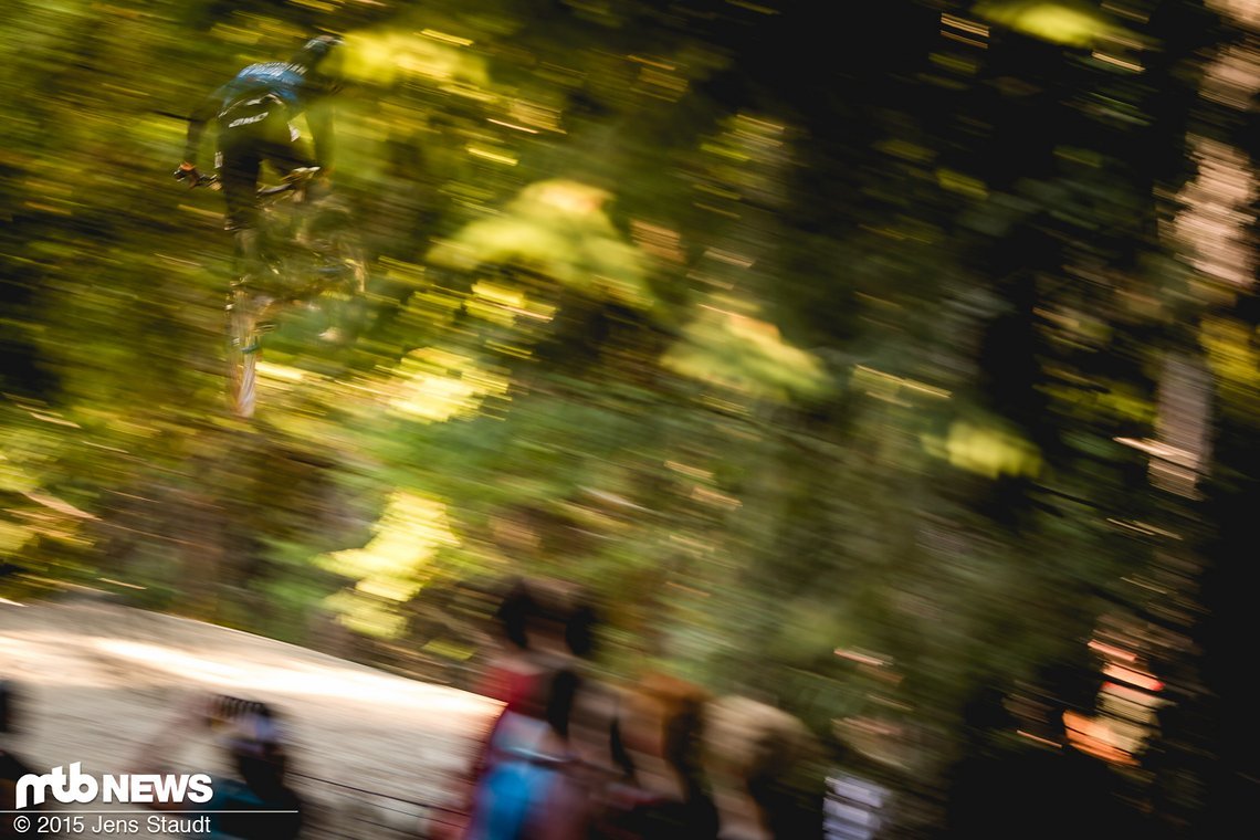 Querflug im Wald