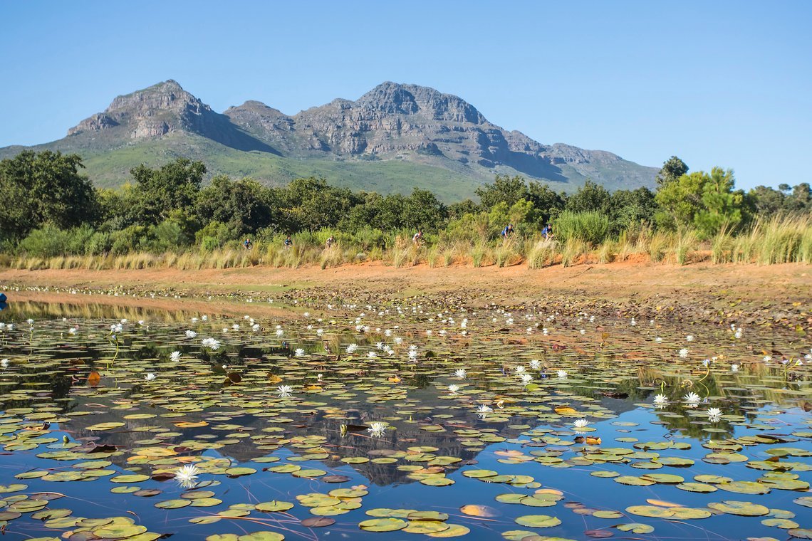 Scenic on Dornier Farm during stage 1 of the 2022 Absa Cape Epic Mountain Bike stage race from Lourensford Wine Estate to Lourensford Wine Estate, South Africa on the 21st March 2022. © Dom Barnardt / Cape Epic