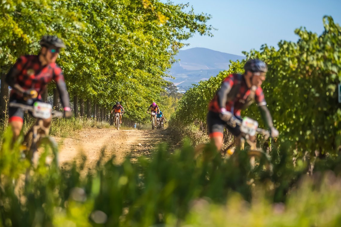 Riders in the vineyards of Dornier during stage 1 of the 2022 Absa Cape Epic Mountain Bike stage race from Lourensford Wine Estate to Lourensford Wine Estate, South Africa on the 21st March 2022. © Dom Barnardt / Cape Epic
