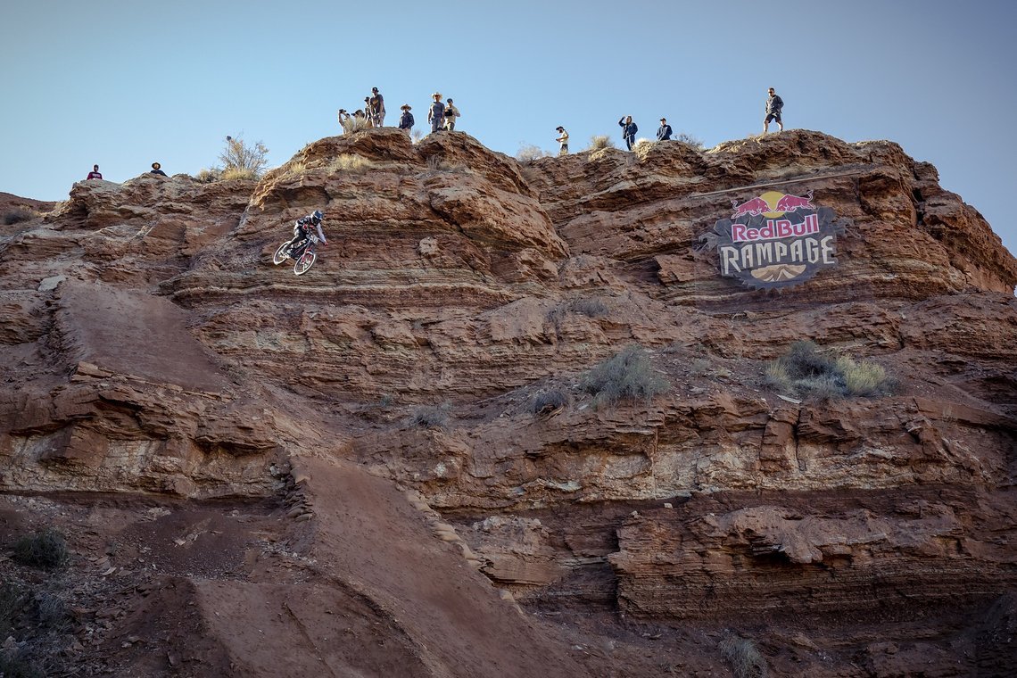 Steinadler: Tyler McCaul