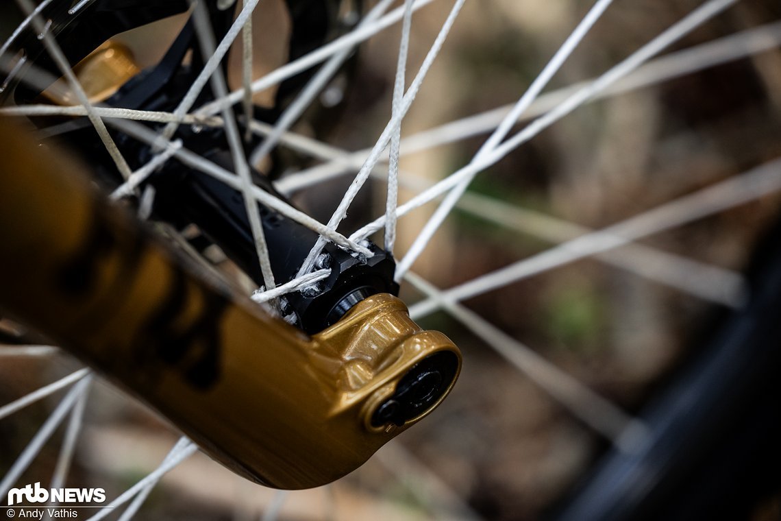 MTBNews