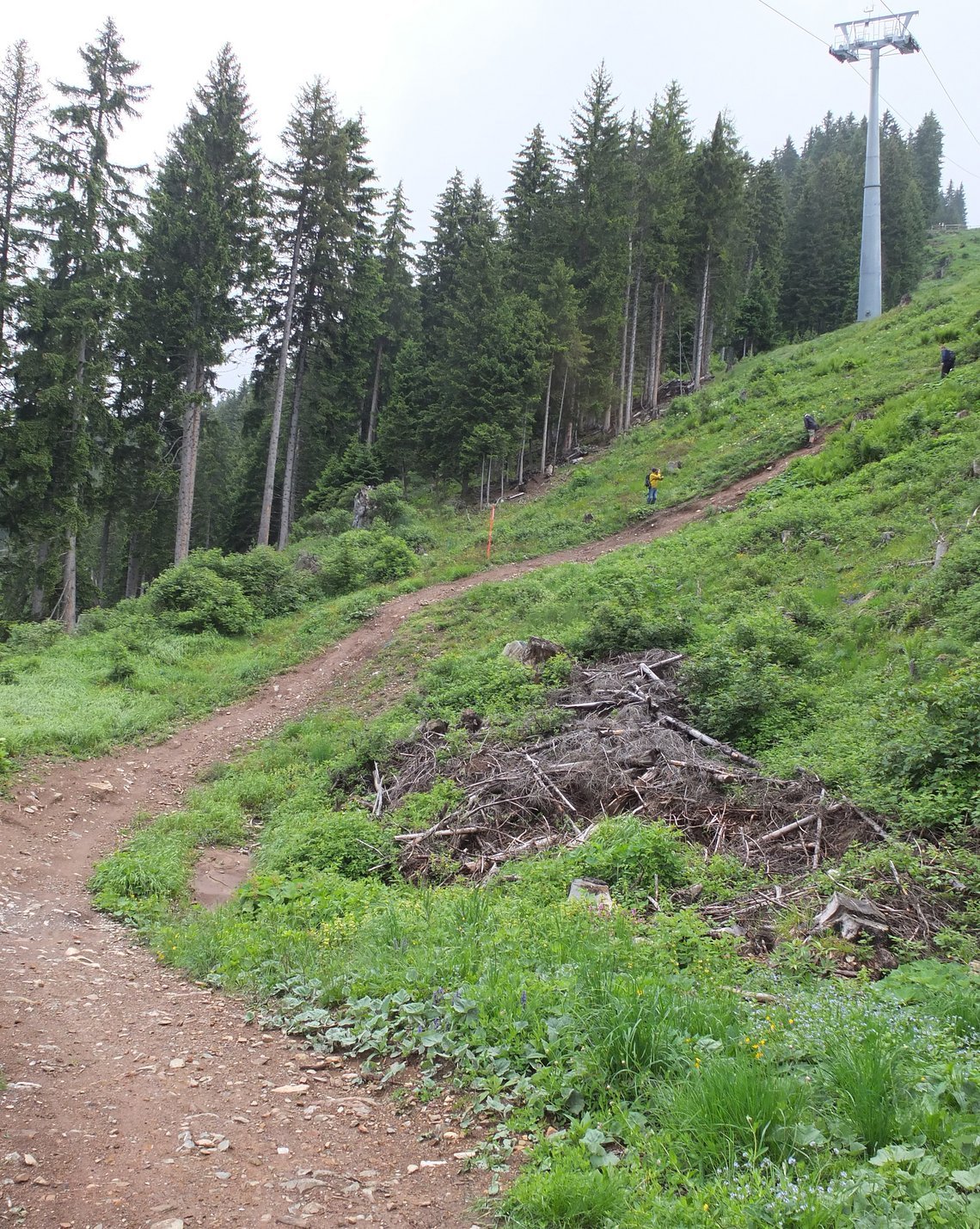Steil in Richtung Ziel