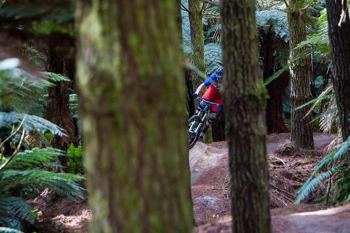 Rotorua #2