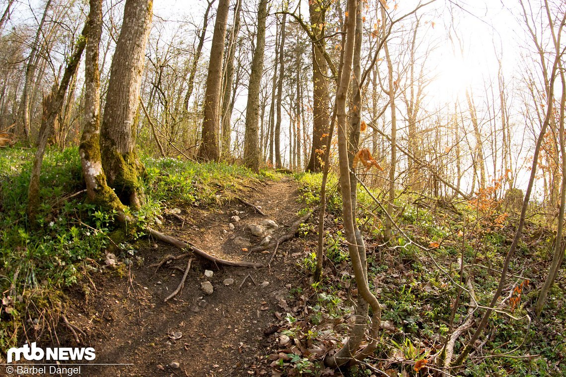 Der Trail um die Ecke