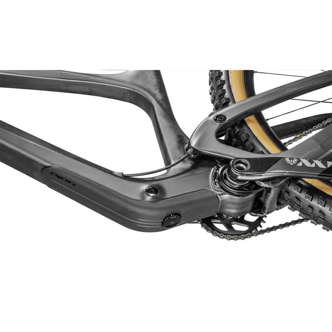 BOLD LINKIN 150 ULTIMATE 2022 STUDIO LEISER 001