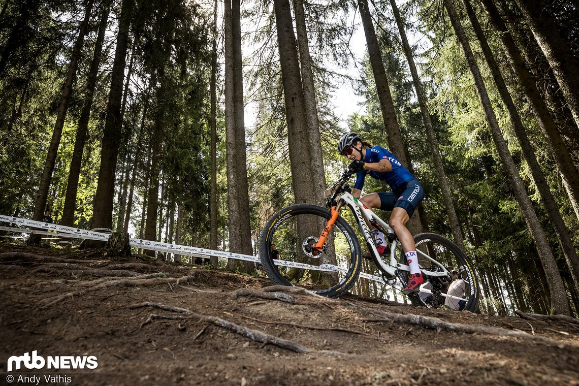 MTBNews