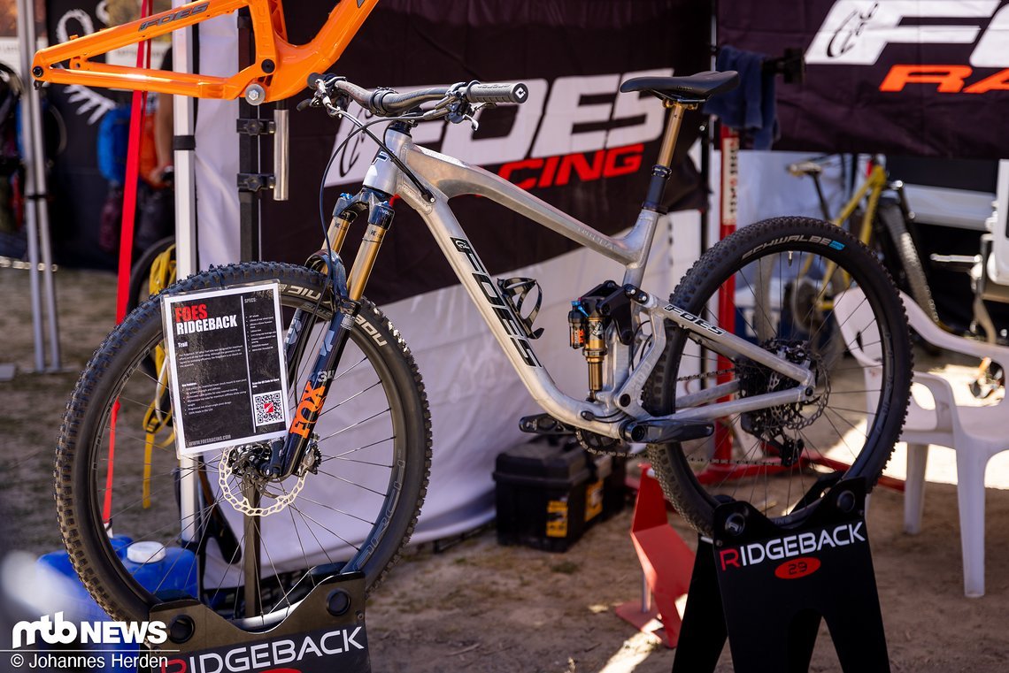 Foes Ridgeback