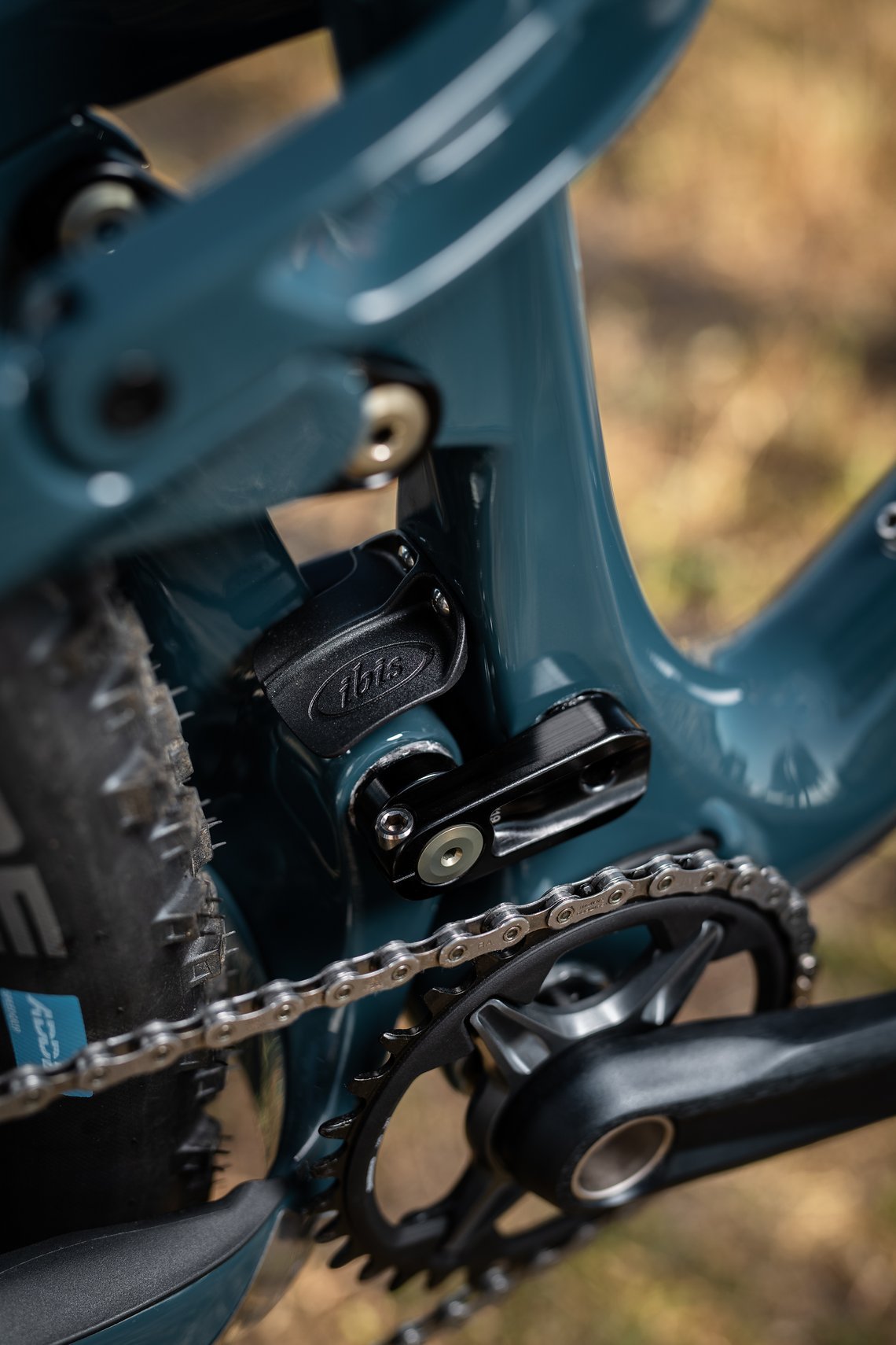 IbisM4-DSC 1360-Edit