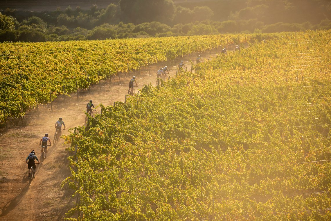 The mens field during stage 1 of the 2022 Absa Cape Epic Mountain Bike stage race from Lourensford Wine Estate to Lourensford Wine Estate, South Africa on the 21st March 2022. Photo by Gary Perkin