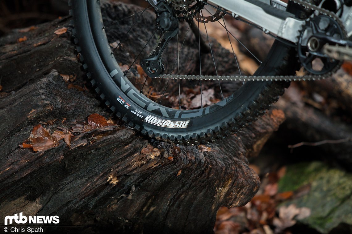 Erste Tuchfühlung mit dem Maxxis Dissector