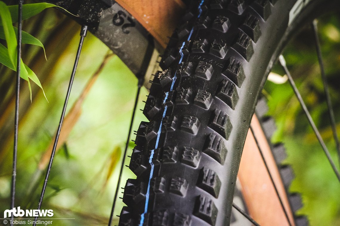 Schwalbe Wicked Will-2