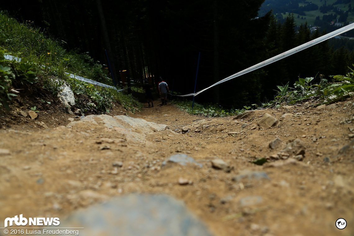 Über ein Road Gap kommt man nach einem kurzen, offenen Abschnitt wieder zurück in den Wald ...
