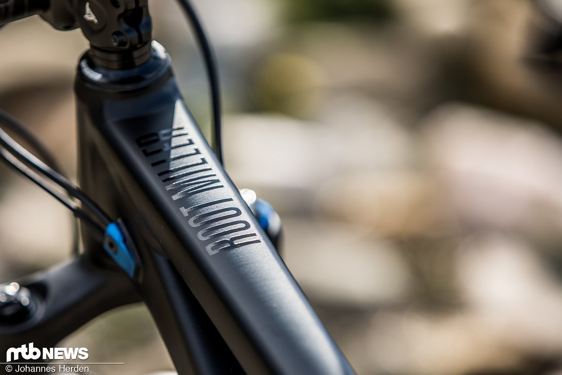 Rose Root Miller Trailbike-13