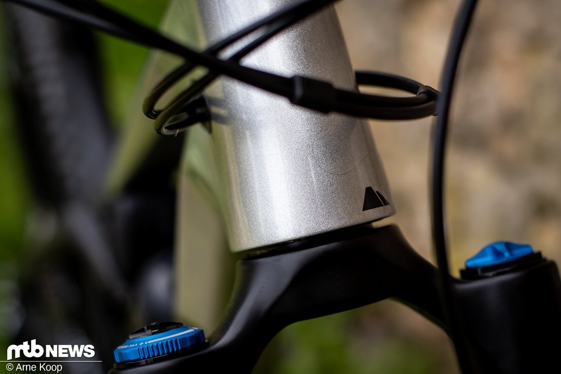 Canyon Strive-8242