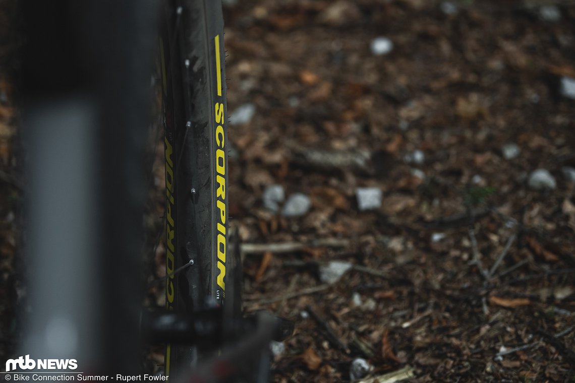 Alle Mountainbike-Reifen aus dem Hause Pirelli hören auf den Namen Scorpion.