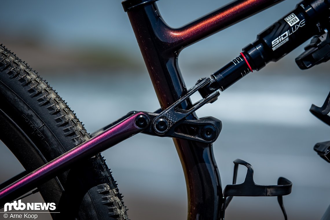 Am S-Works kommt eine Dämpferverlängerung aus Carbon zum Einsatz.