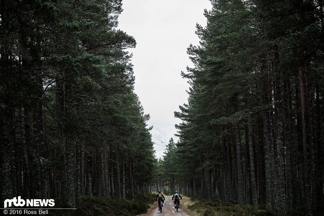 Rückweg Richtung Aviemore.
