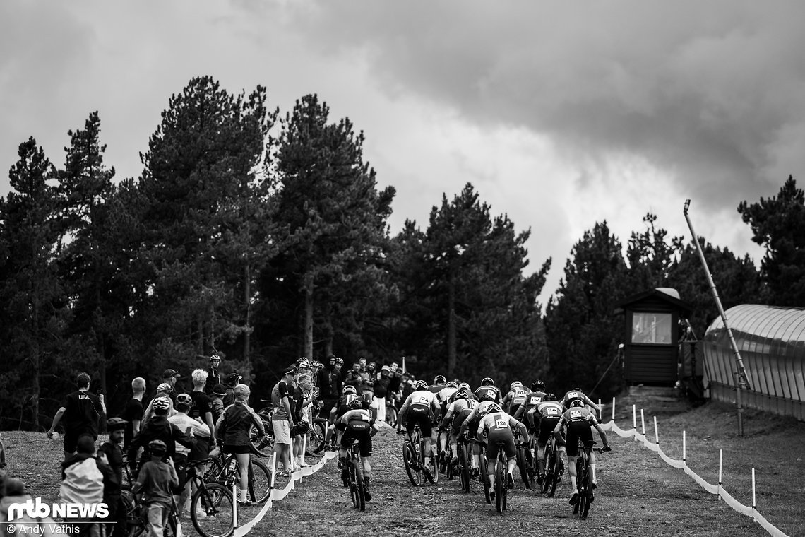 MTBNews