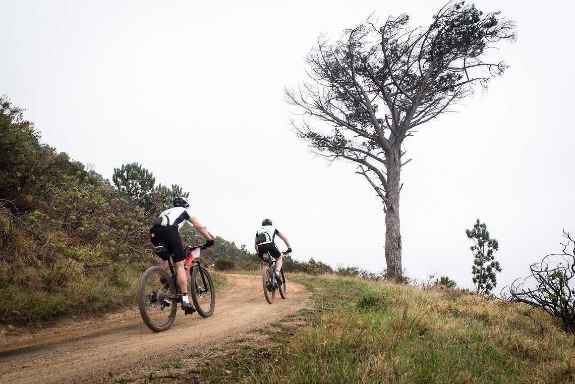 Riders on jeep track during the Prologue of the 2019 Absa Cape Epic Mountain Bike stage race held at the University of Cape Town in Cape Town, South Africa on the 17th March 2019.

Photo by Justin Coomber/Cape Epic

PLEASE ENSURE THE APPROPRIATE 
