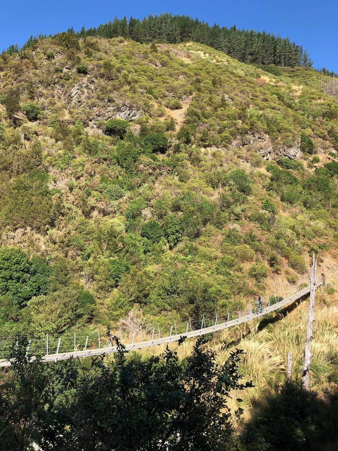 wairoa gorge mtb