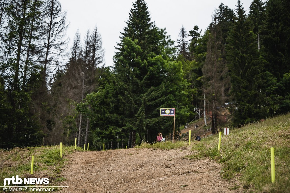 les-gets-track-walk-95614