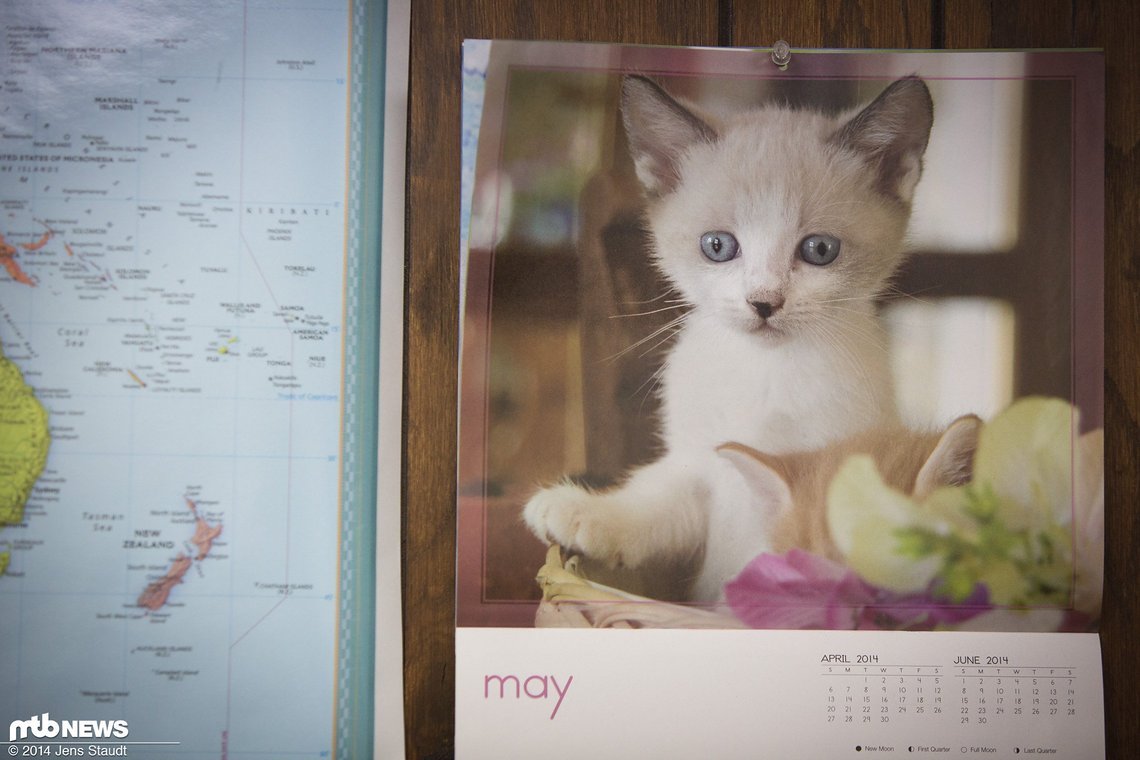 ...die gut mit dem Kätzchen-Kalender zusammen passen.