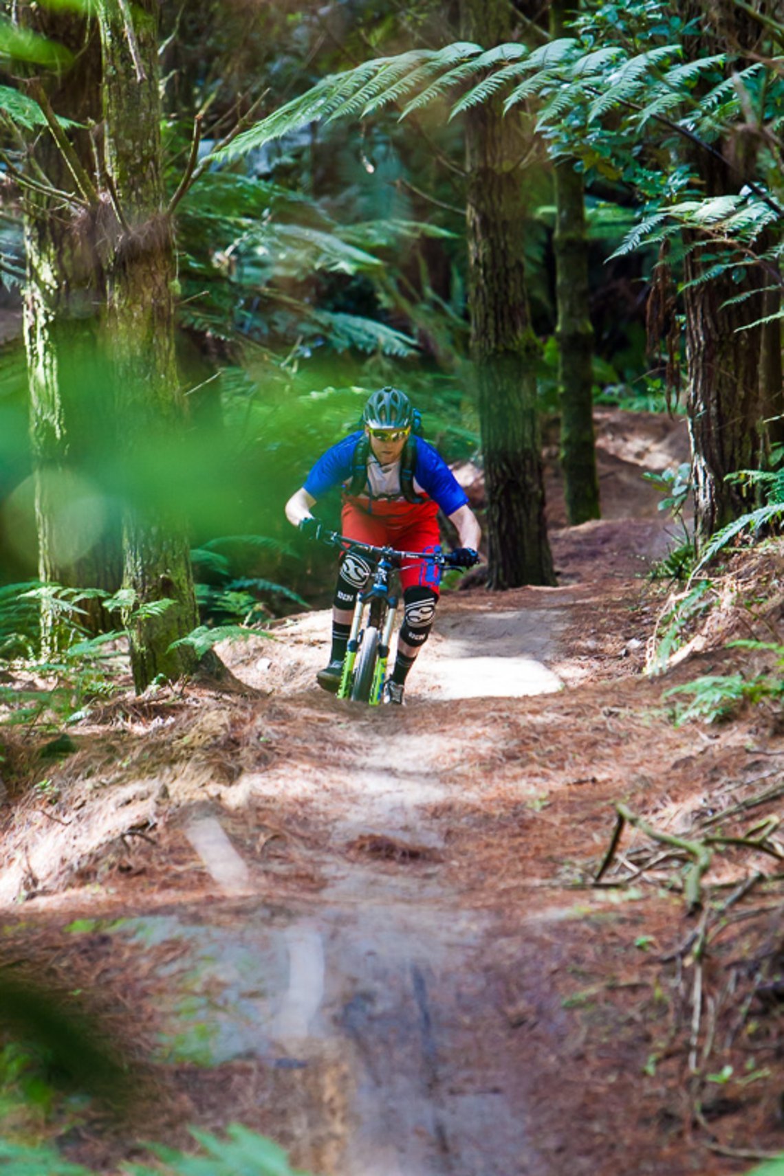 Rotorua #3
