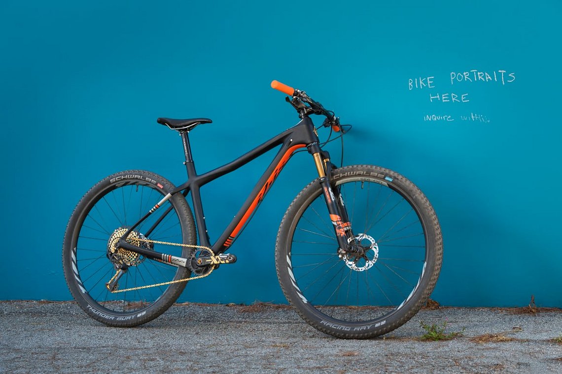 Ibis DV9 Hardtail W38