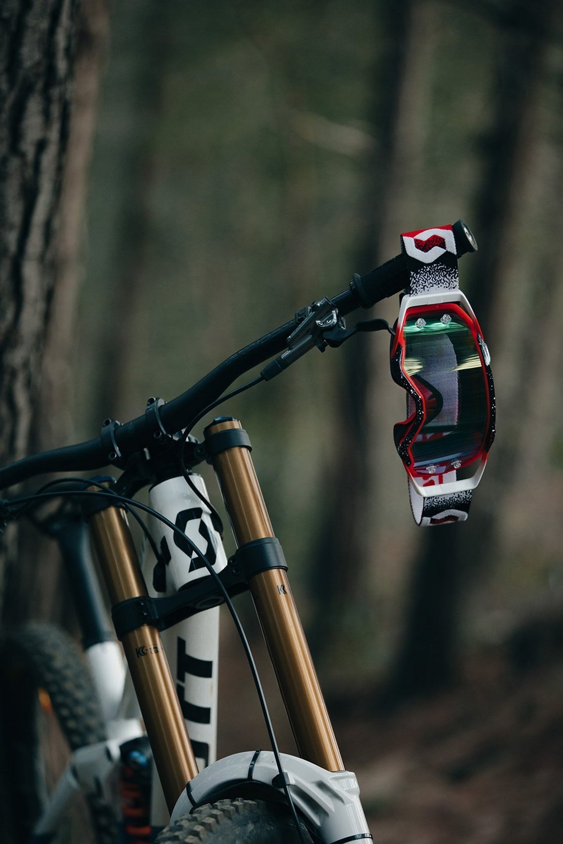 scott-sports-scott-dh-factory-2021-bike-actionImage-by-riley-matthewsShimano x Scott by Riley Matthews-3