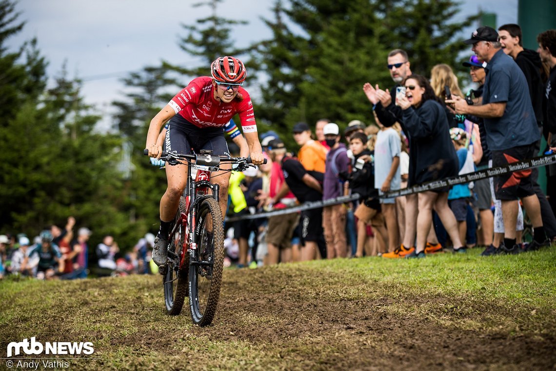 MTBNews