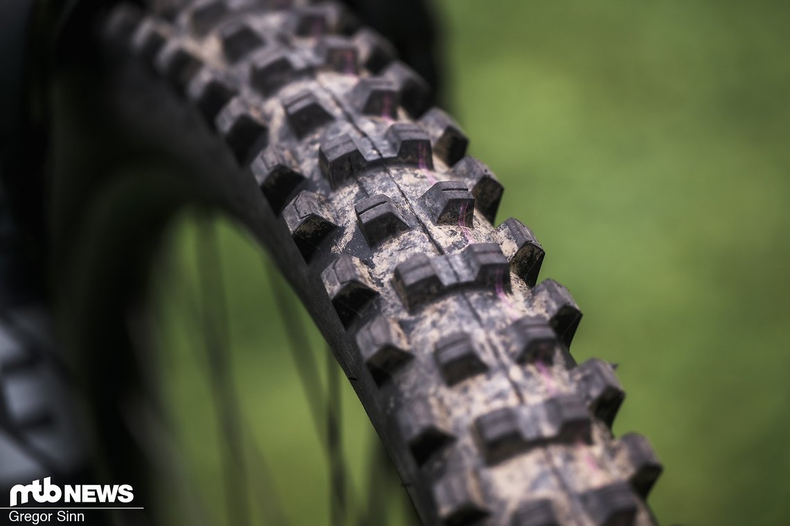 Der Schwalbe Shredda könnte auch in Canazei eine gute Wahl sein.