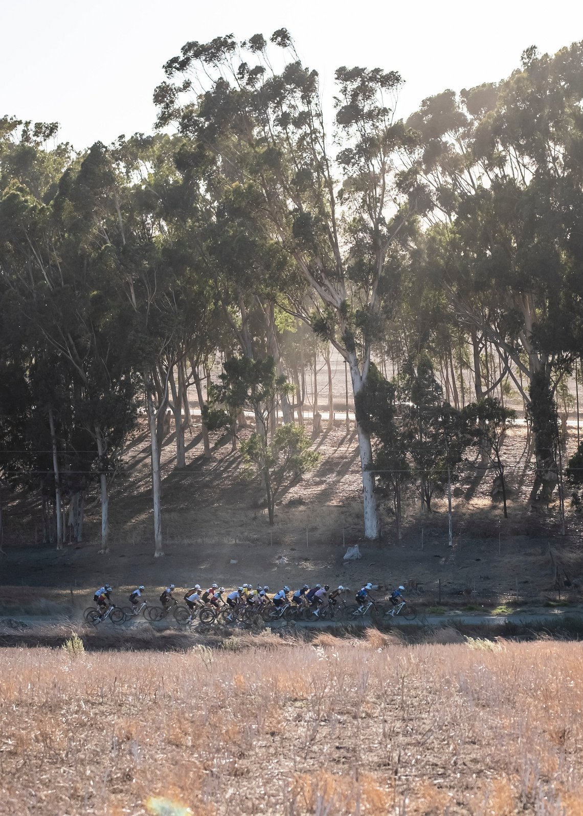 Elite lead men during Stage 1 of the 2025 Absa Cape Epic Mountain Bike stage race held at Meerendal Wine Estate, Cape Town, South Africa on the 17th March 2025. Photo by Dom Barnardt/Cape Epic
PLEASE ENSURE THE APPROPRIATE CREDIT IS GIVEN TO THE PHOT